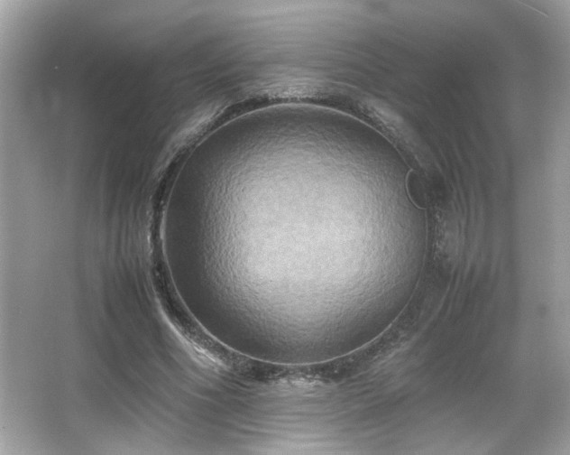 X0000066520586200603171220