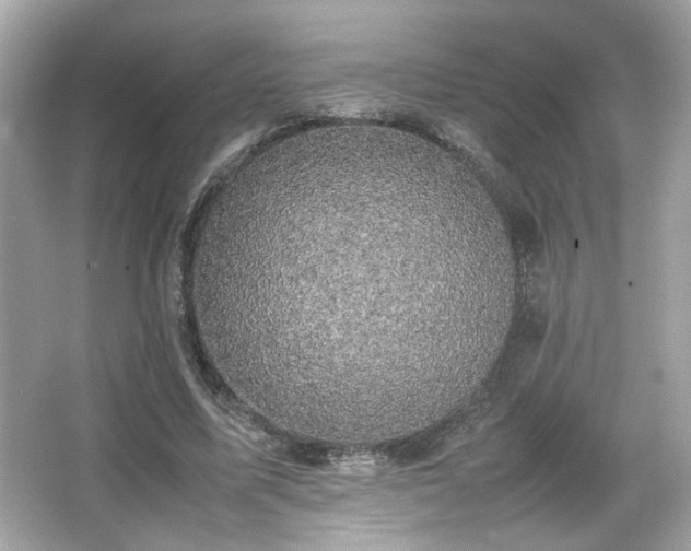 X0000066520587200603171220