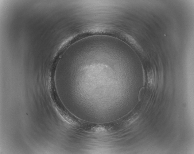 X0000066520588200603171220