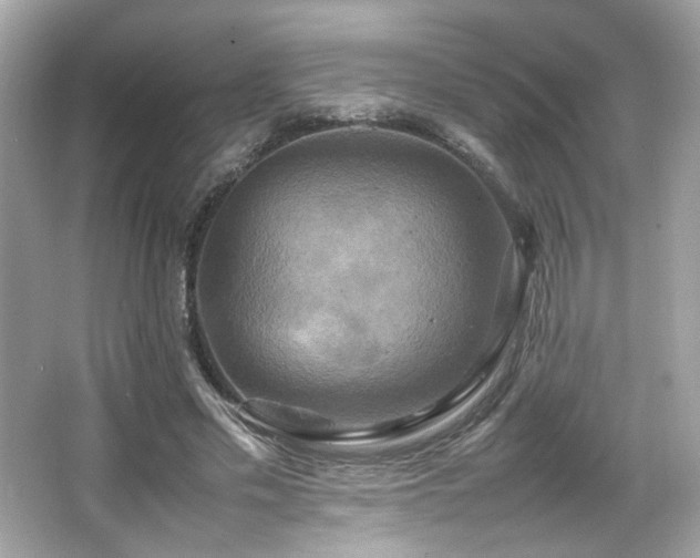 X0000066520589200603171220