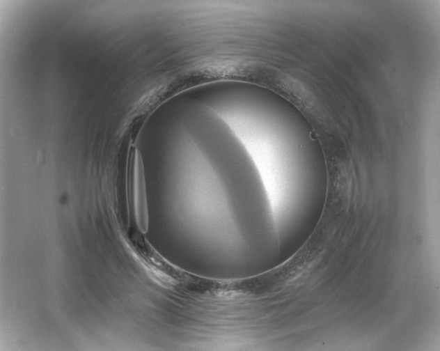 X0000066520590200603171220