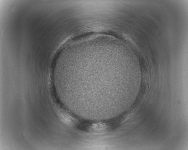 X0000066520591200603171220