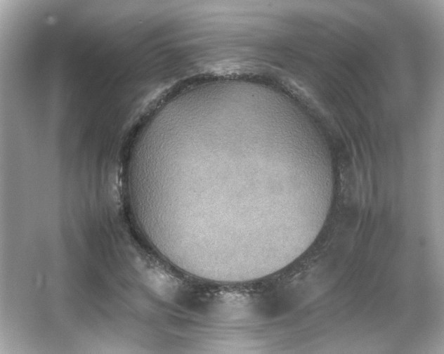 X0000066520592200603171220