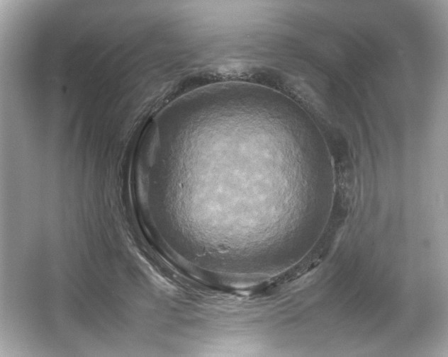 X0000066520593200603171220