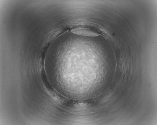 X0000066520594200603171220