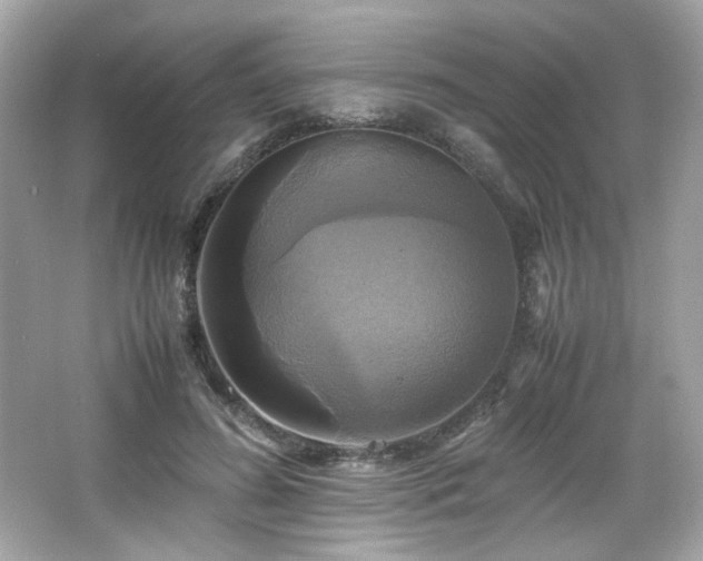 X0000066520596200603171220