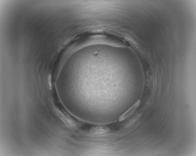 X0000066520597200603171220