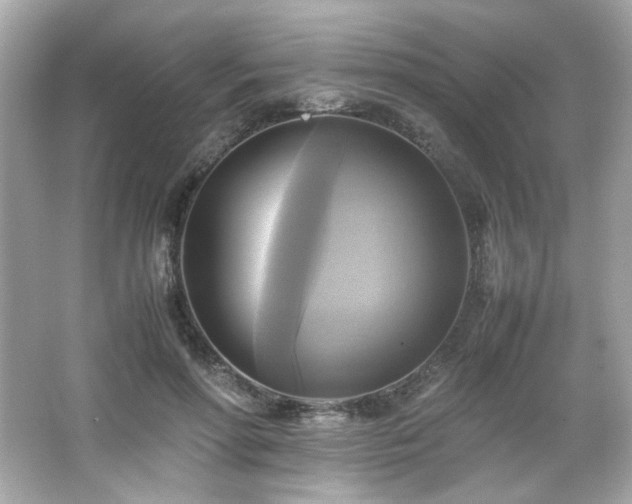 X0000066520598200603171220