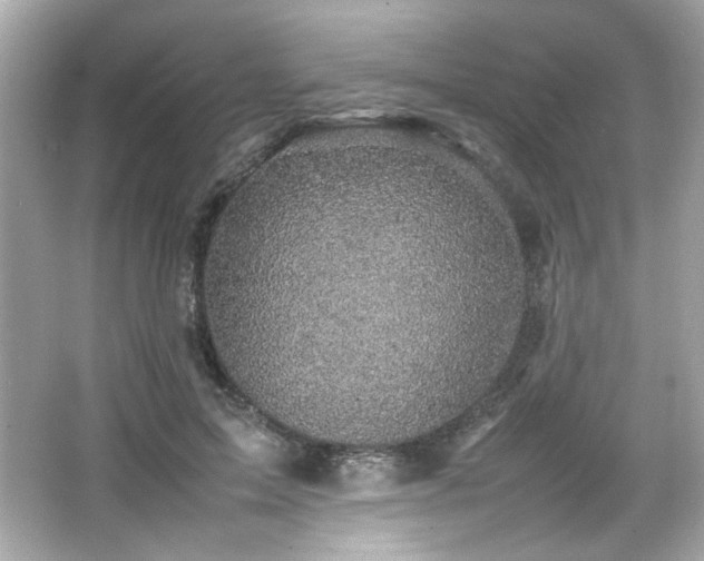 X0000066520599200603171220