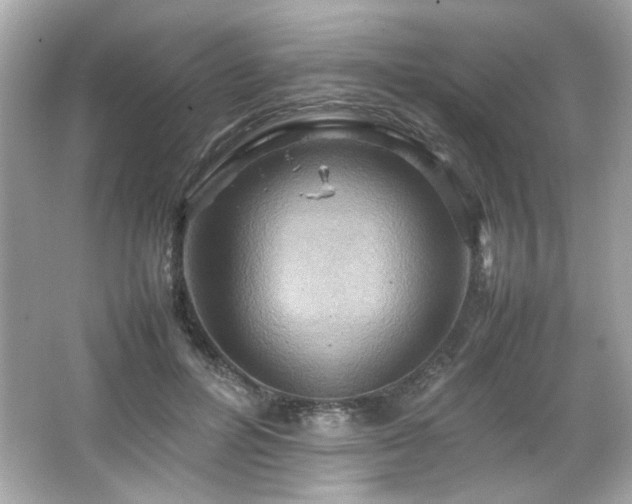 X0000066520600200603171220