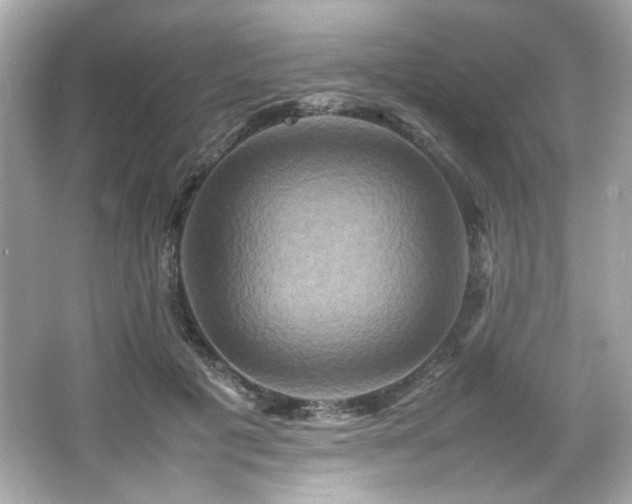 X0000066520601200603171220