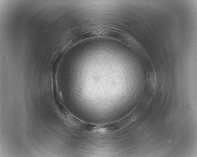 X0000066520602200603171220