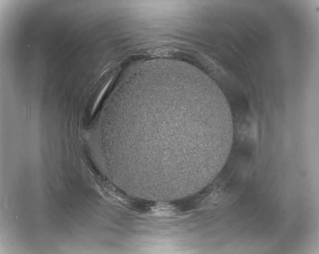 X0000066520603200603171220