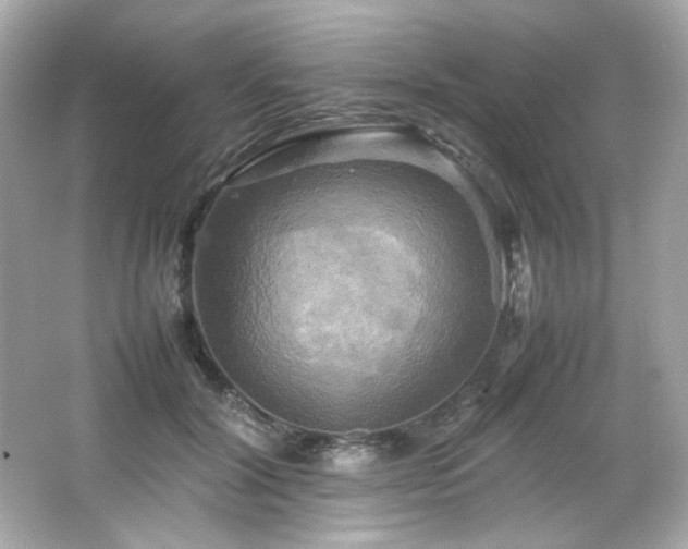 X0000066520604200603171220