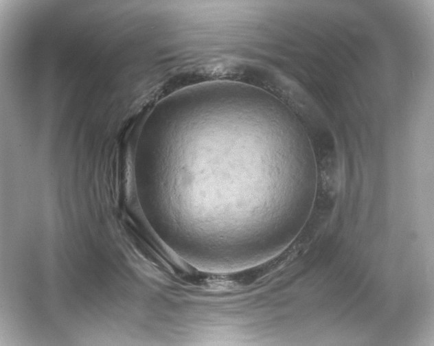 X0000066520605200603171220