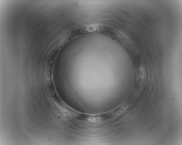 X0000066520606200603171220