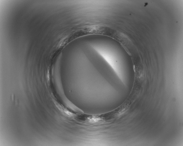 X0000066520607200603171220