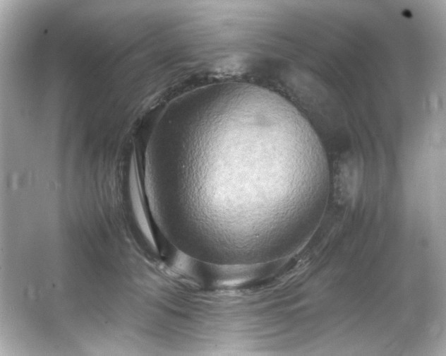 X0000066520608200603171220