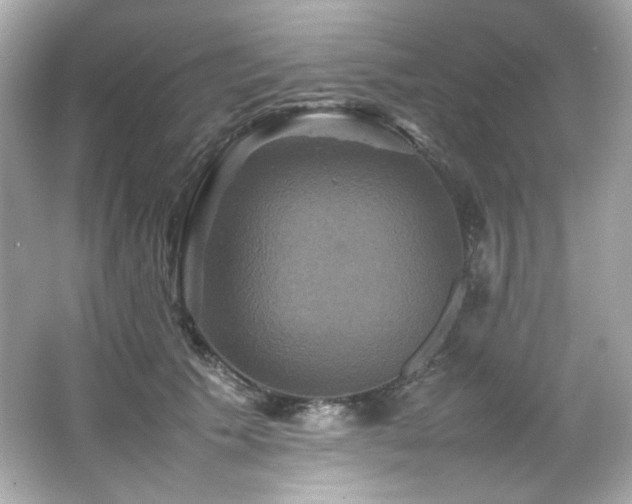 X0000066520609200603171220