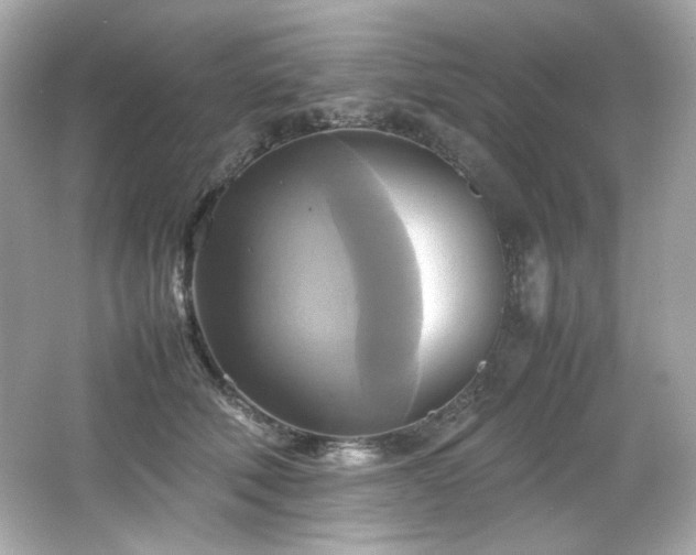 X0000066520610200603171220