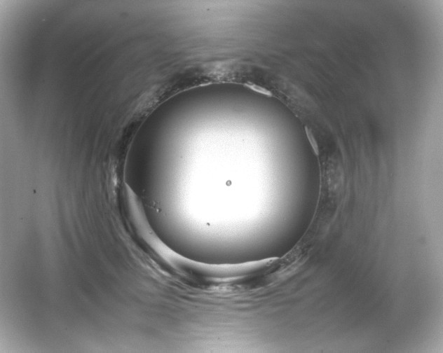 X0000066520611200603171220