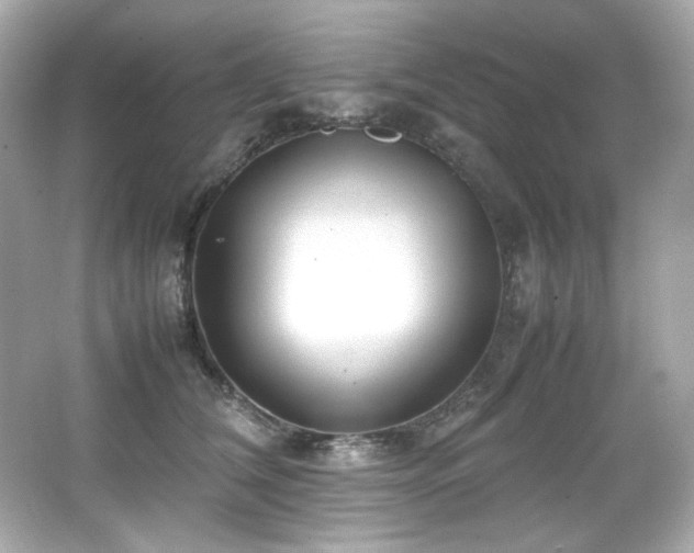 X0000066520612200603171220