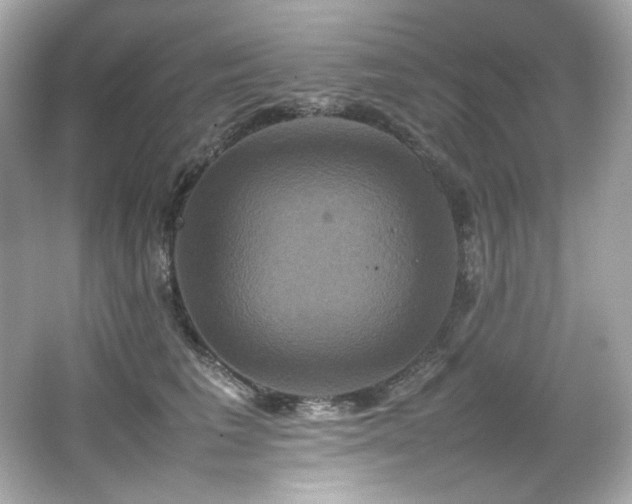 X0000066520613200603171220