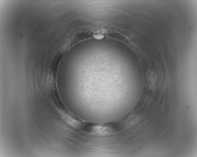 X0000066520614200603171220