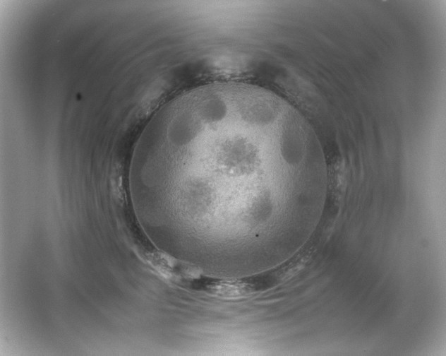 X0000066520615200603171220