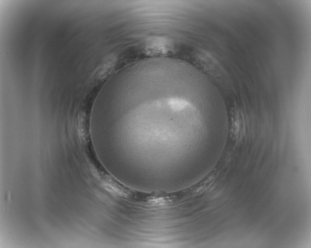 X0000066520616200603171220