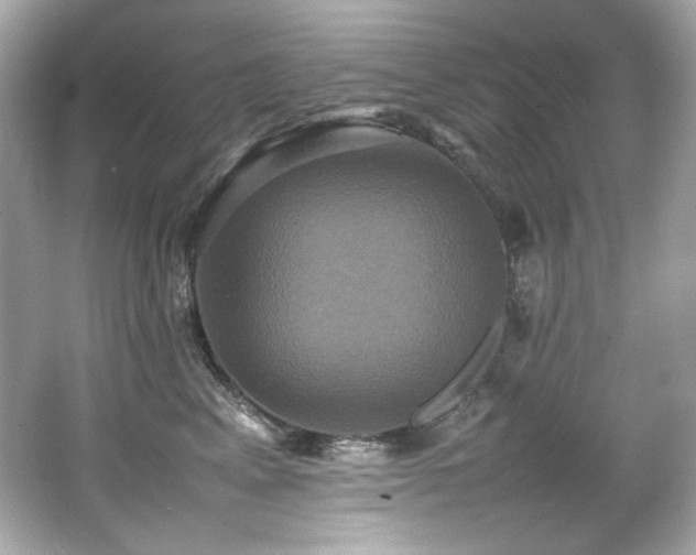 X0000066520617200603171220