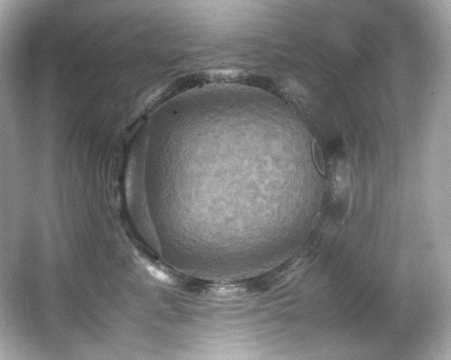 X0000066520619200603171220