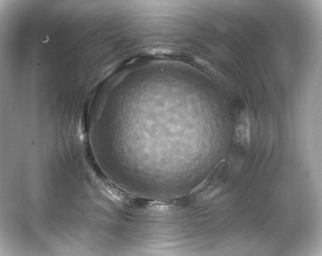 X0000066520620200603171220