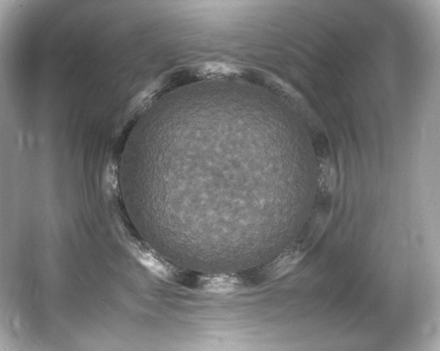 X0000066520621200603171220