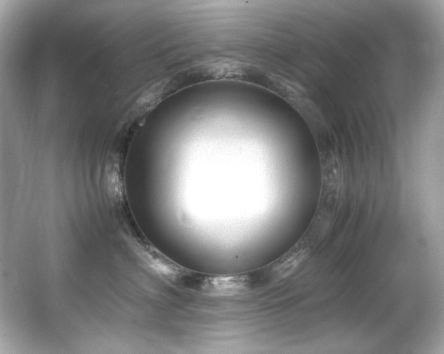 X0000066520622200603171220