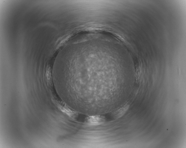 X0000066520623200603171220