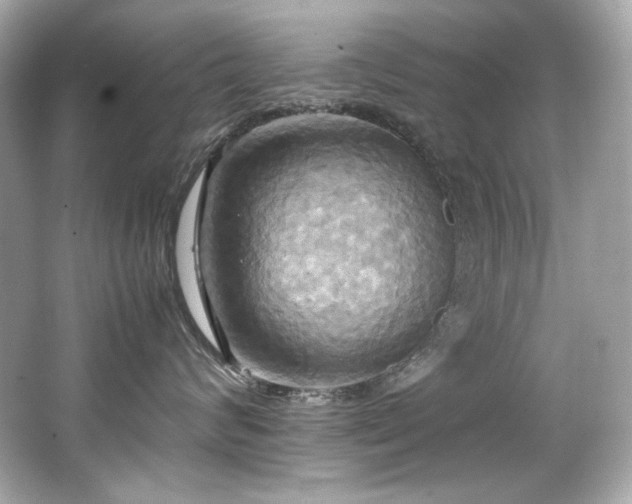 X0000066520624200603171220