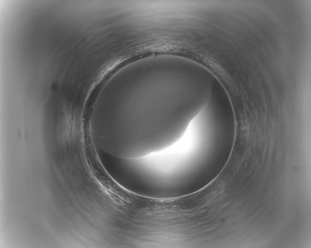 X0000066520626200603171219