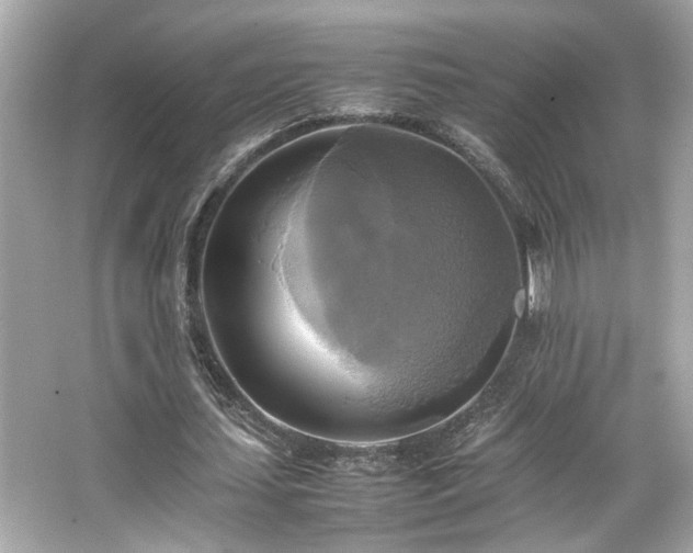 X0000066520627200603171219