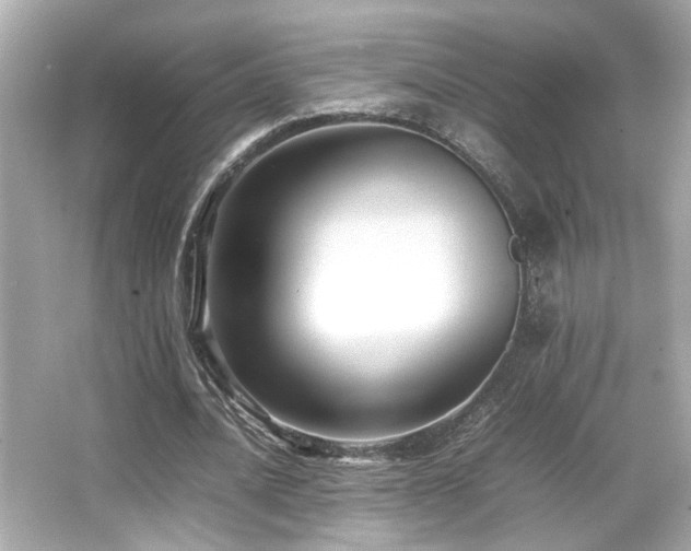 X0000066520628200603171219