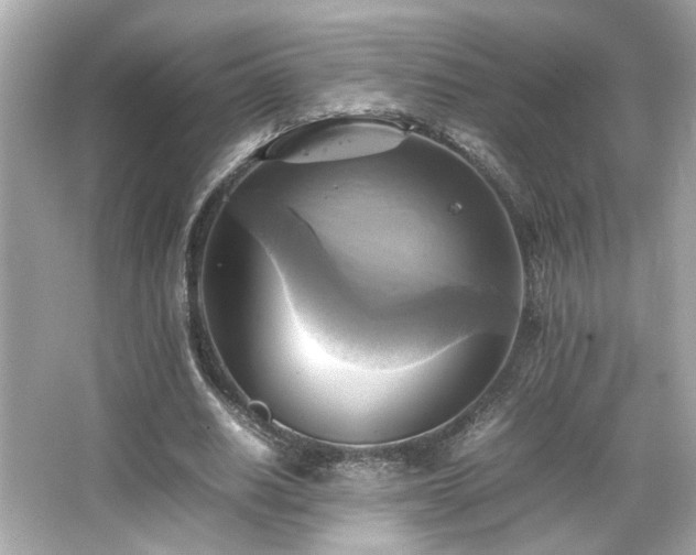 X0000066520630200603171219