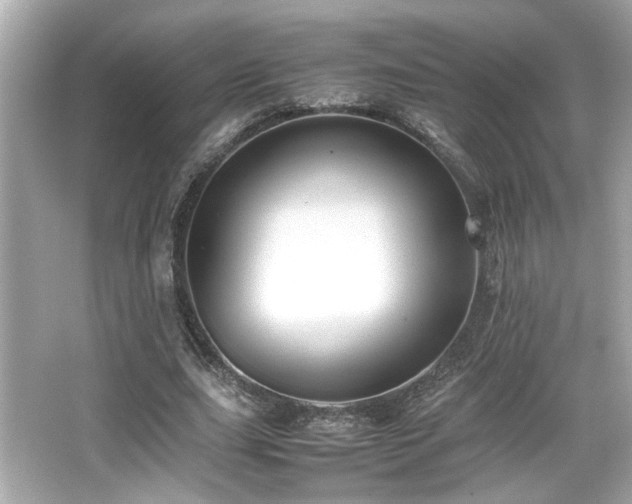 X0000066520631200603171219