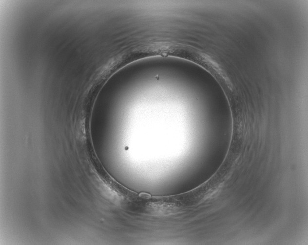 X0000066520633200603171219