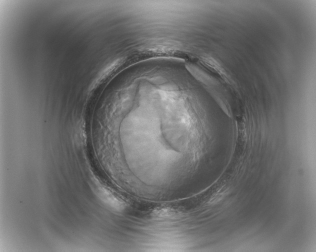 X0000066520634200603171219