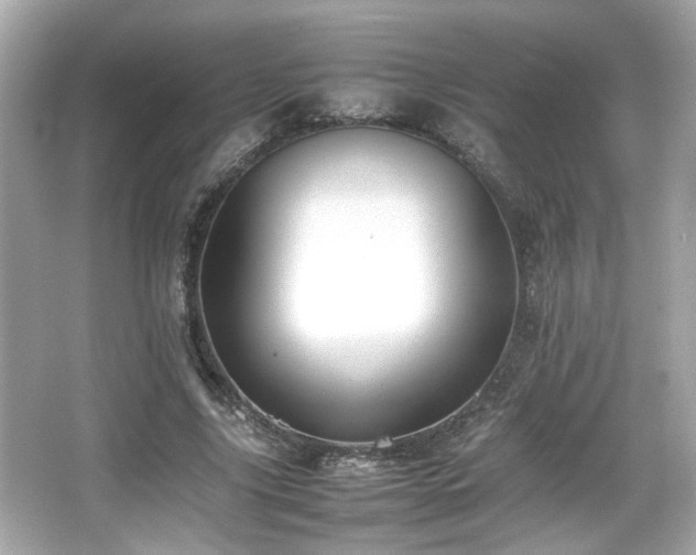 X0000066520635200603171219