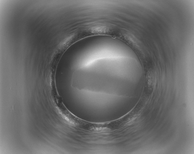 X0000066520637200603171219