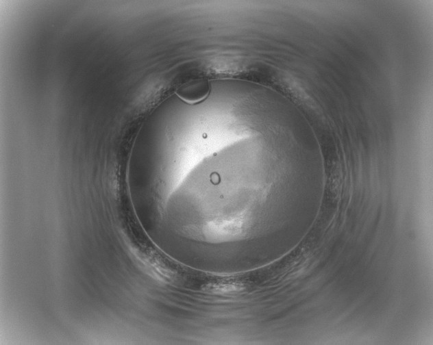 X0000066520639200603171219