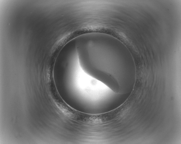 X0000066520640200603171219