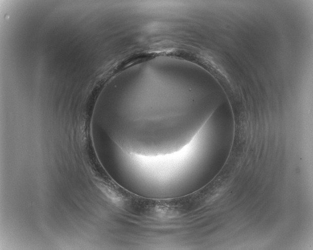 X0000066520641200603171219