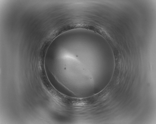 X0000066520643200603171219